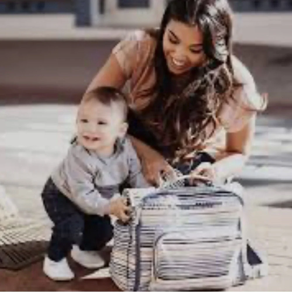 Ju-Ju-Be Striped Multi-Color Baby Bag